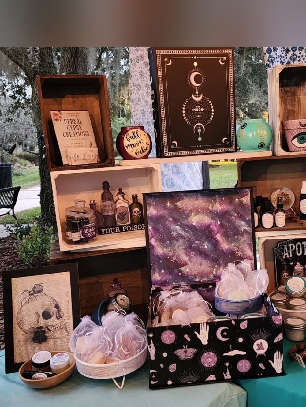 MOXIE IS LIVE!! GIVE THIS FLYER A LIKE TO SEE WHEN I GO LIVE!🦋🌺🧿 - Picture 5 of 15